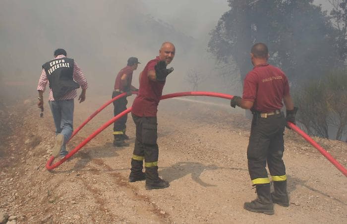 Incendi in Sicilia: un pompiere perde la vita, numerosi interventi sull'isola