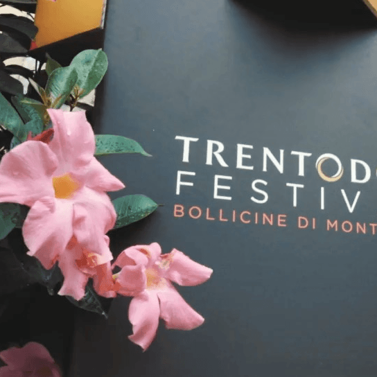 Trentodoc Festival, successo di pubblico e dialogo tra professionisti
