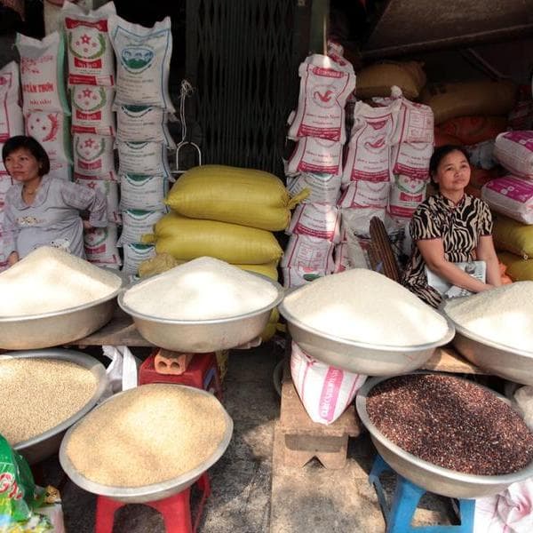Fao, prezzi alimentari globali +0,6% in un mese: impattano caldo e guerre