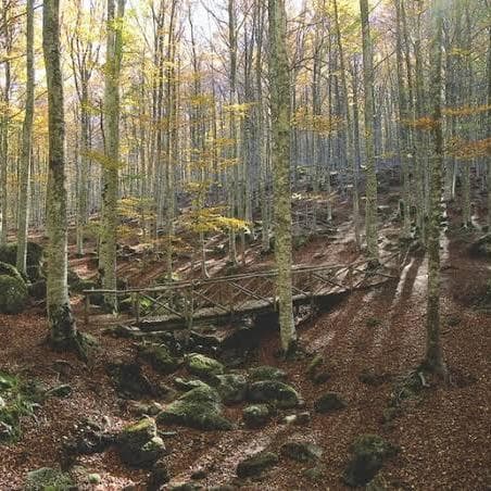 Paesaggio rurale, dalla Provincia di Bolzano fondi per la tutela del territorio