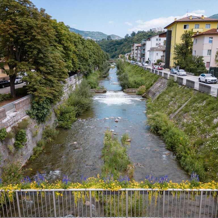 Ripulite le sponde del Fersina senza disturbare la fauna selvatica 