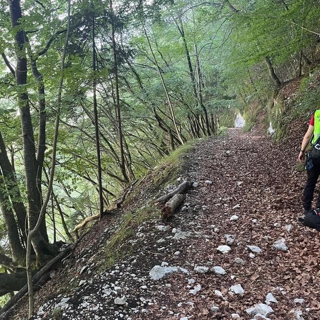 Ciclista precipita e muore lungo la strada forestale tra Cinte Tesino e Grigno