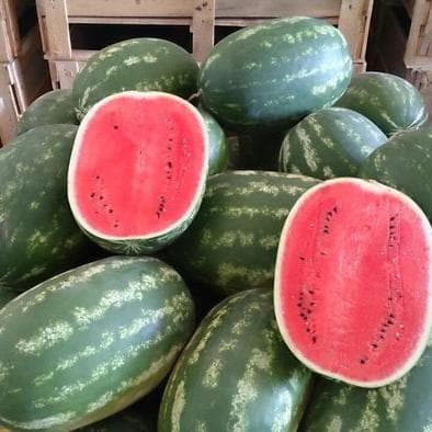 Caldo estremo e temporali: la domanda di frutta e verdura regge per il turismo estivo