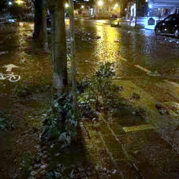 Trento: serata segnata da vento, grandine e forte pioggia