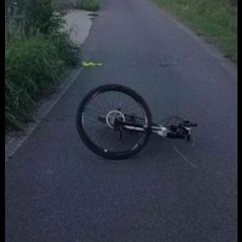 Verona, ciclista investì cinghiale: muore dopo una settimana in ospedale