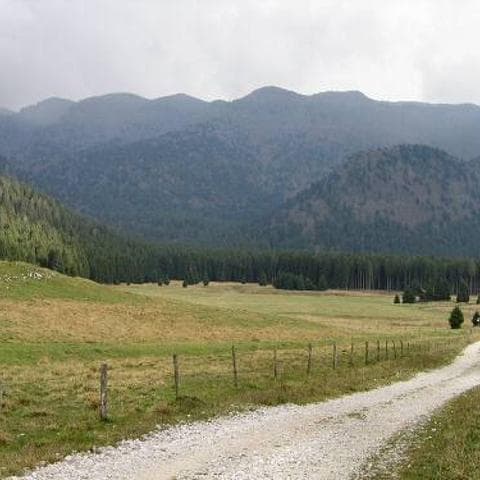 Serenissima, verso il ticket d'ingresso per la foresta del Cansiglio 