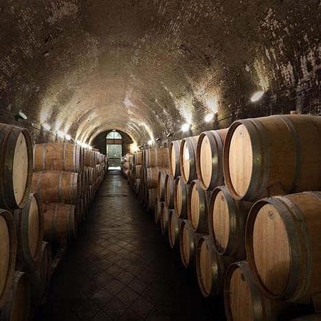 Export, piccola ripresa del vino italiano verso gli Stati Uniti