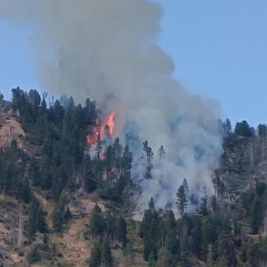 Cermis, domato l’incendio: spento anche l’ultimo focolaio