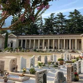 Trento, conigli al cimitero: tutto pronto per la cattura 