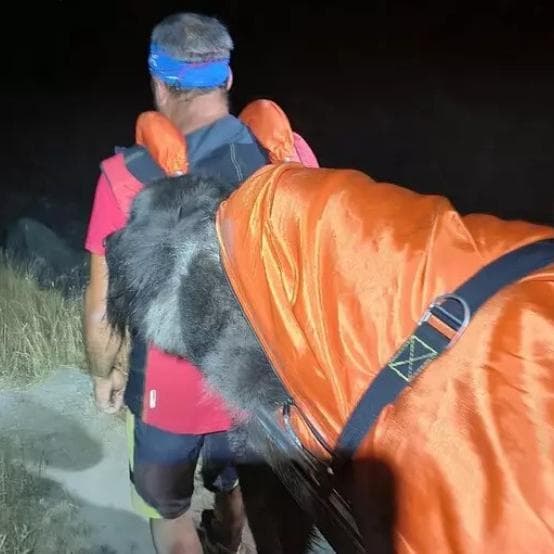 Cane stremato sul sentiero in quota: recuperato dai soccorritori con la barella