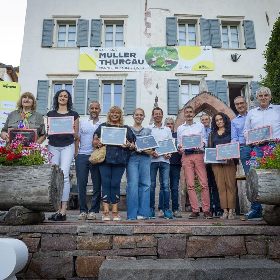 Cembra, il Müller Thurgau cresce e conquista il mondo: premi e qualità in aumento al concorso “Vino di Montagna”