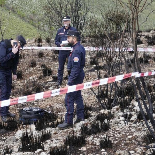 Caldo, il supporto delle Unità Forestali: rafforzato il dispositivo nazionale a difesa dei boschi 