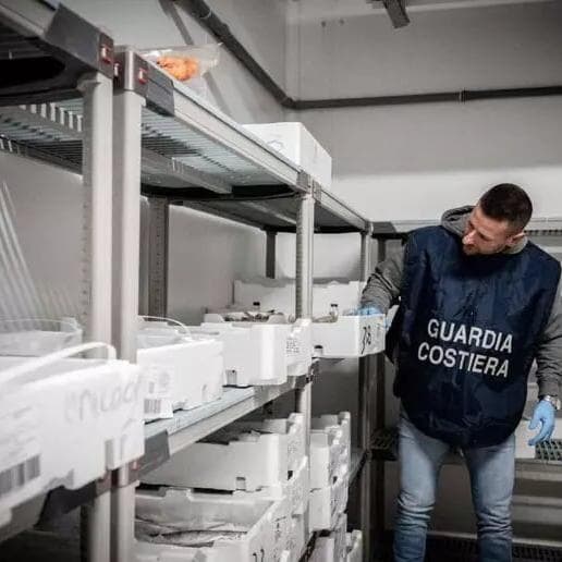 Pesce non tracciato venduto anche nelle valli tra Lombardia e Trentino: maxi sequestro