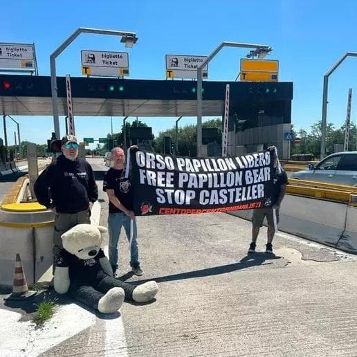 A22 bloccata a Verona Nord: il blocco è della Centopercentoanimalisti