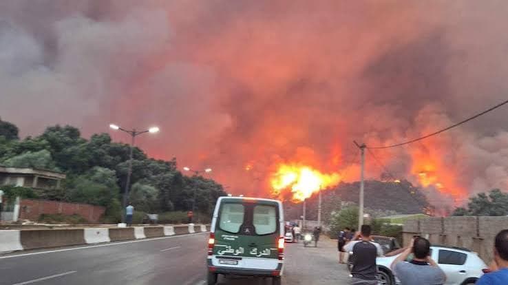 Algeria, incendi devastanti: almeno 69 vittime e numerosi feriti