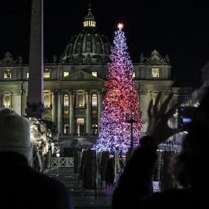 L'albero di Natale dell'Alto Adige brilla in piazza San Pietro
